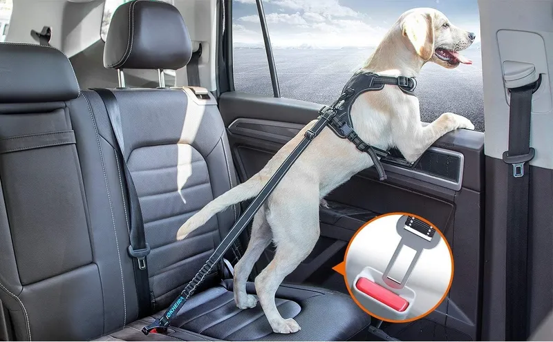 IOKHEIRA Verstelbare Veiligheidsgordel Hond Auto — foto 11