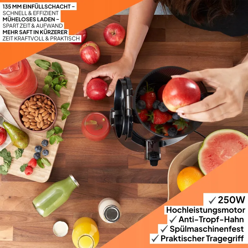 Elektrische Sapcentrifuge Groente Fruit 250W Zwart — foto 2