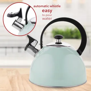FLORINA Brillo Waterketel 2,5L Roestvrij Staal Inductie Mint — miniatuur 2