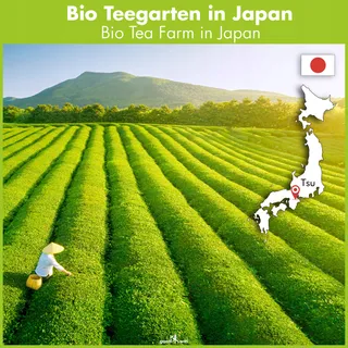 GOODWEI Matchaset BIO Japan Keramiek Accessoires — miniatuur 2