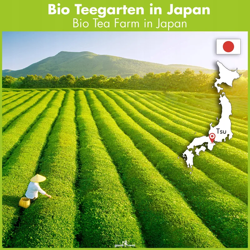 GOODWEI Matchaset BIO Japan Keramiek Accessoires — foto 2
