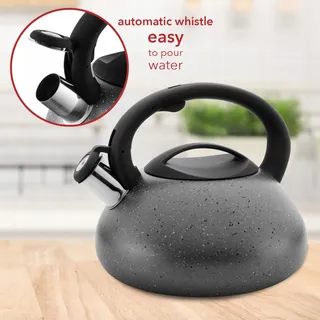 FLORINA Waterkoker RVS 2,5L Siliconen Handvat Inductie Gas Elektrisch — miniatuur 2