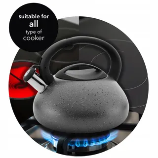 FLORINA Waterkoker RVS 2,5L Siliconen Handvat Inductie Gas Elektrisch — miniatuur 6