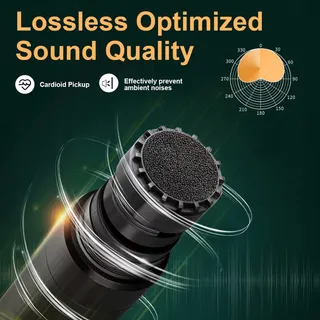 DEPUSHENG R5 Professioneel Draadloos UHF Microfoonsysteem Voor Karaoke — miniatuur 3