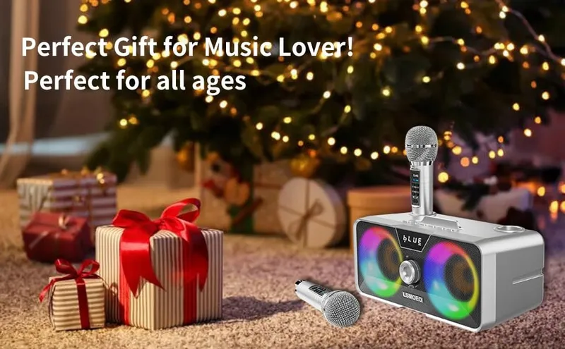 Karaoke Machine 20W Bluetooth Speaker met Draadloze Microfoons — foto 9