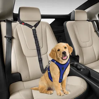SWAUSWAUK Autotuig voor Honden Klein en Middelgroot — miniatuur 2