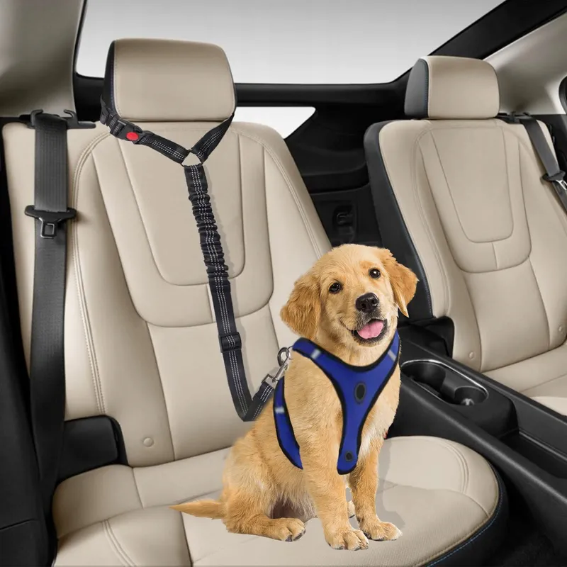 SWAUSWAUK Autotuig voor Honden Klein en Middelgroot — foto 2