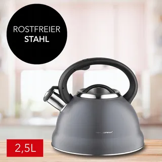 FLORINA Stalen Ketel 2,5L Grijs Fluitketel Alle Kookplaten — miniatuur 6