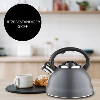 FLORINA Stalen Ketel 2,5L Grijs Fluitketel Alle Kookplaten — miniatuur 5
