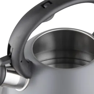FLORINA Stalen Ketel 2,5L Grijs Fluitketel Alle Kookplaten — miniatuur 3