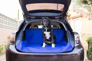 PETS & TRAVEL Kofferbakbescherming Voor Huisdieren Waterdicht 147x120cm — miniatuur 2