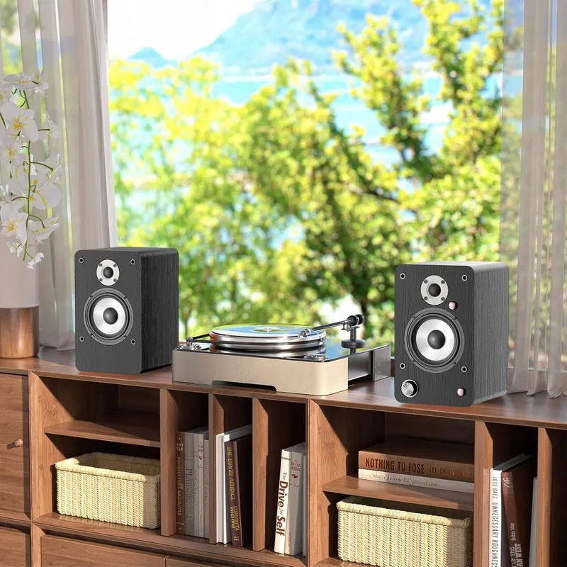 HANLIM Actieve Bluetooth HiFi Luidsprekers 100W USB AUX Optisch RCA Zwart — foto 6