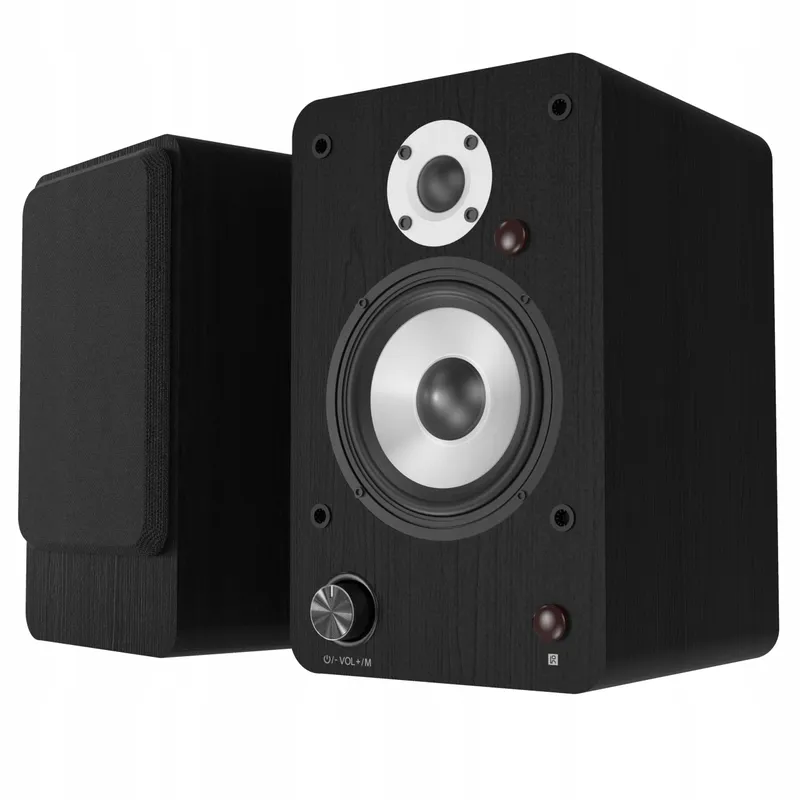 HANLIM Actieve Bluetooth HiFi Luidsprekers 100W USB AUX Optisch RCA Zwart — foto 1
