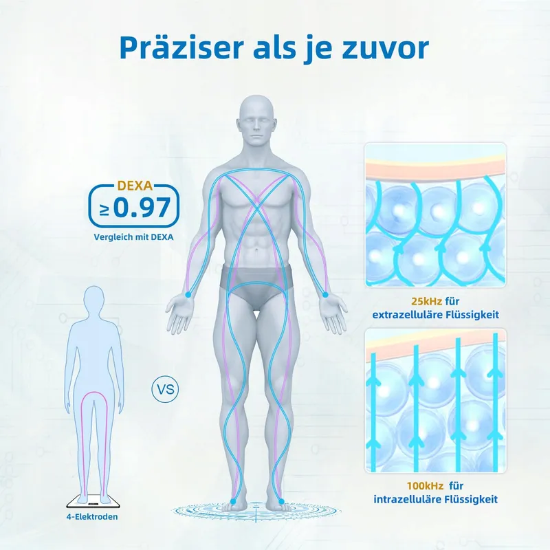 LEPULSE P1 Lichaamsanalyseweegschaal App 24 Gebruikers Zwart — foto 4
