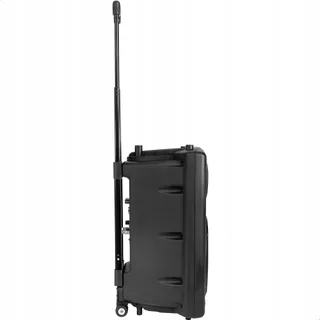 IBIZA Draagbare Speaker 12" 700W Bluetooth USB SD 2 Microfoons Tas — miniatuur 5