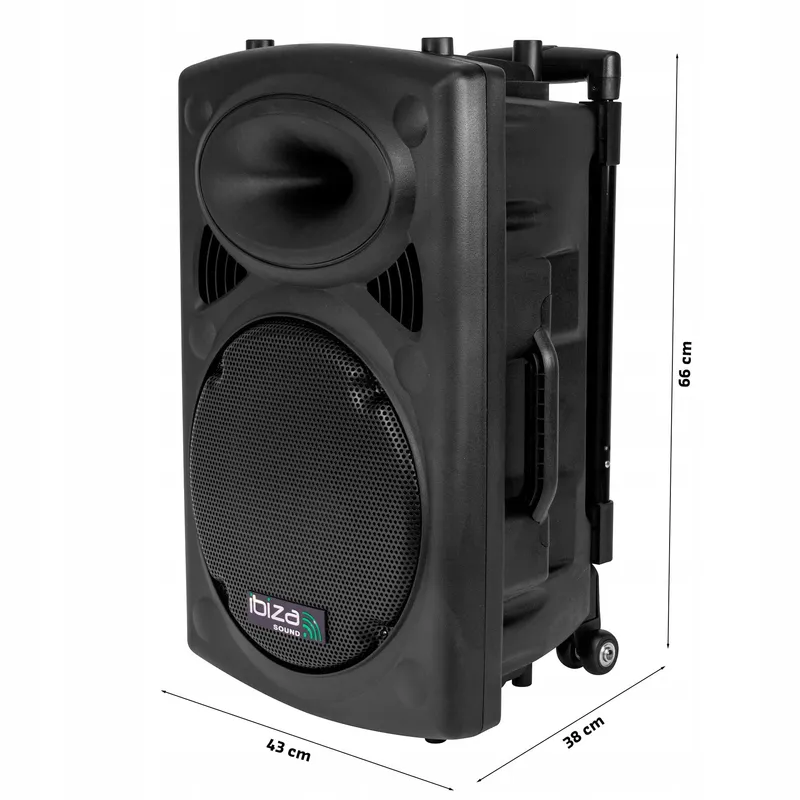 IBIZA Draagbare Speaker 12" 700W Bluetooth USB SD 2 Microfoons Tas — foto 3