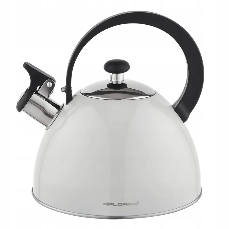 FLORINA Brillo Waterketel 2,5L RVS Inductie Grijs — foto 1