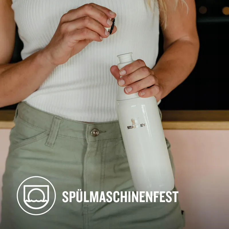 STANLEY Thermosfles Staal 0,6L Koelt 11u BPA-vrij — foto 7