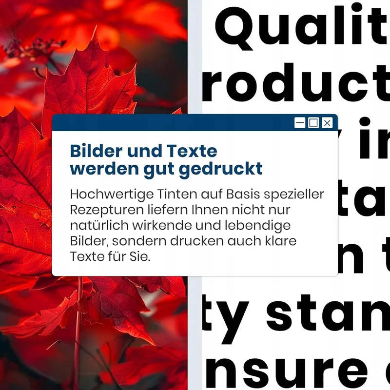 WASHOPE PG575XL Zwarte Inkt Canon Pixma TS3550i TR4750i 2-delig — foto 6