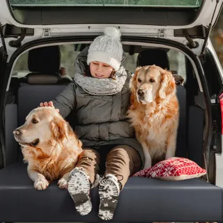AIQINU Kofferbakbescherming Hond Waterdicht Automat — miniatuur 8
