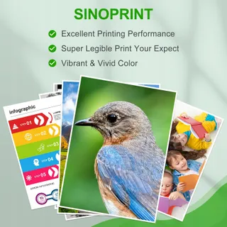 SINOPRINT 202XL Inktcartridges Epson Expression Premium 6-delig — miniatuur 5