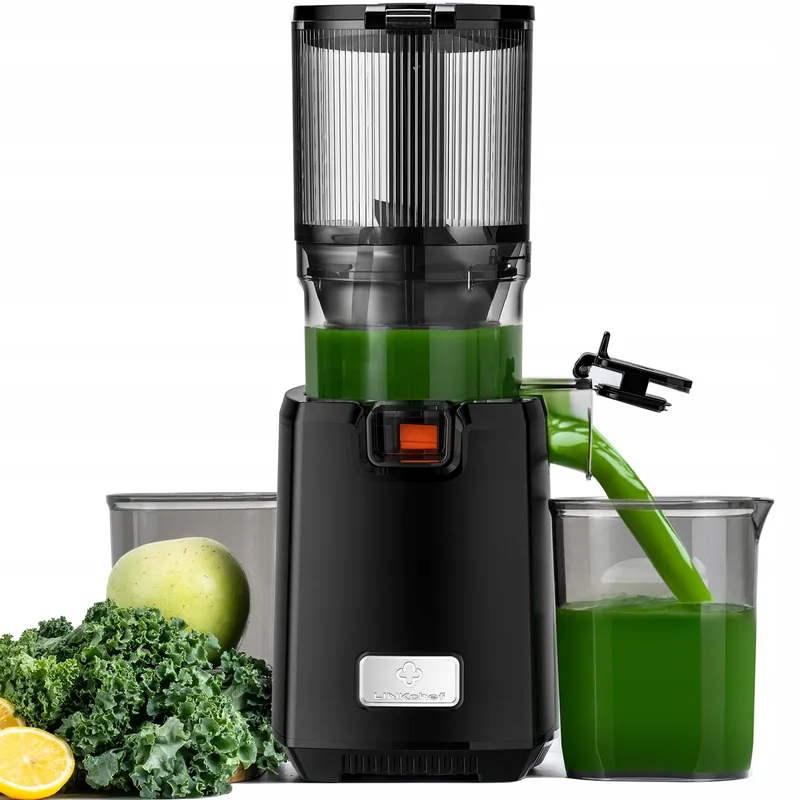 LINKCHEF Slow Juicer Sapmaker 250W BPA-Vrij — foto 1