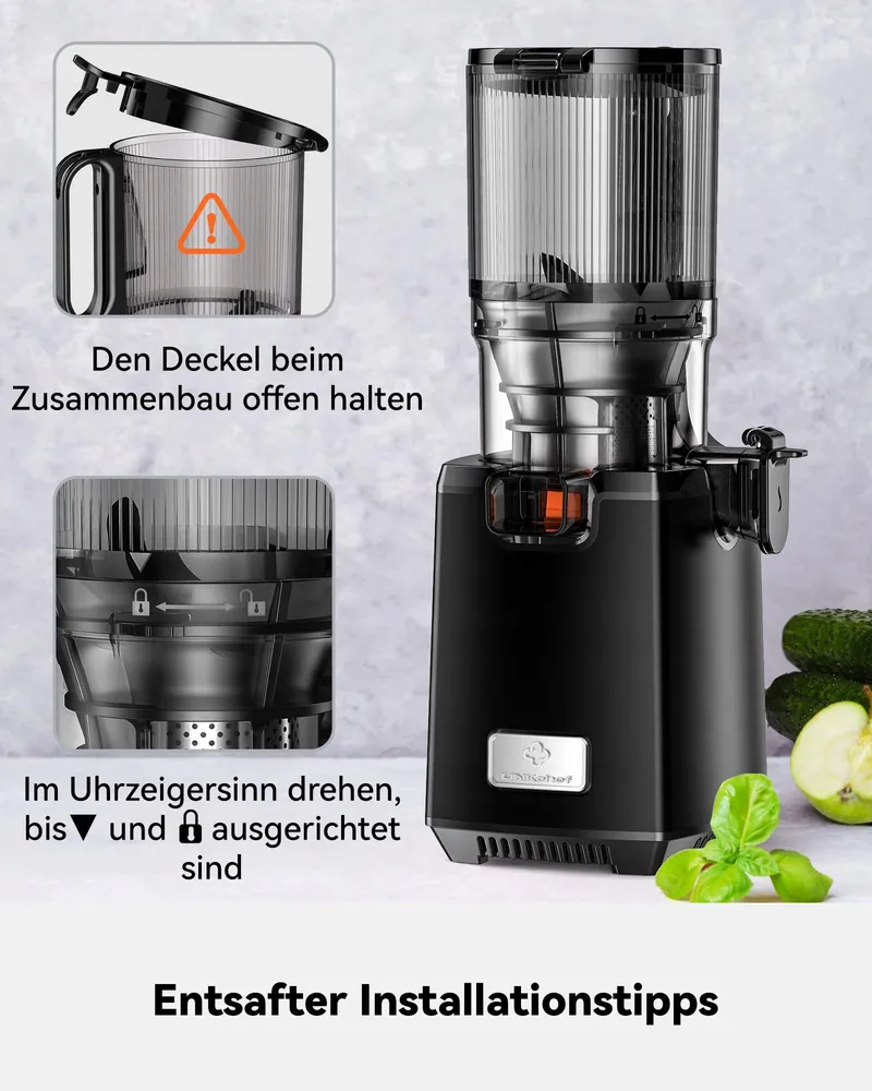 LINKCHEF Slow Juicer Sapmaker 250W BPA-Vrij — foto 8