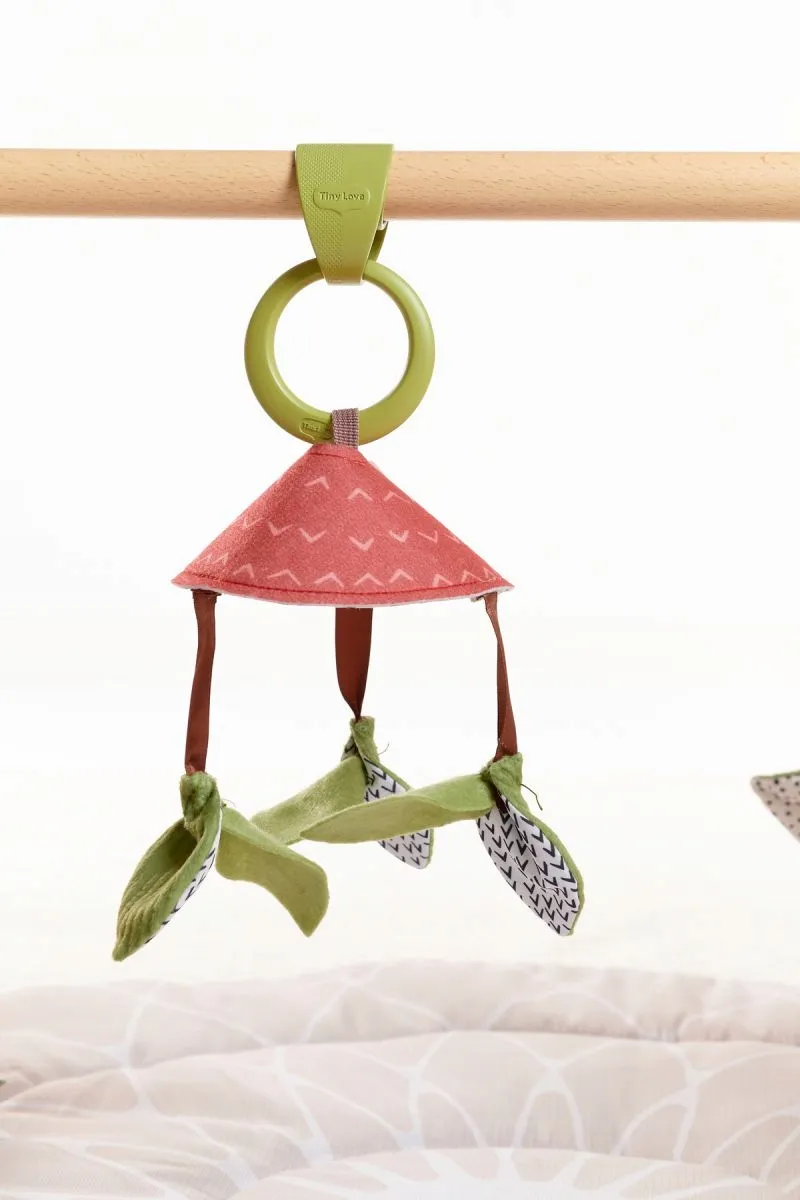 TINYLOVE Educatieve Speelmat voor Baby's en Kinderen — foto 13