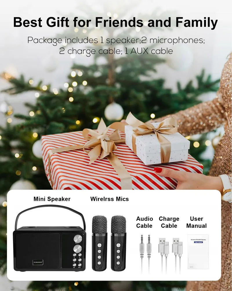 Karaoke Systeem 2 Microfoons Bluetooth Speaker Kinderen Volwassenen — foto 6