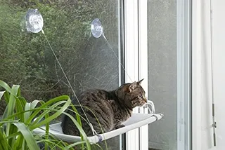 KARLIE Vensterligstoel Voor Katten 51,5x31x2,5cm — miniatuur 2