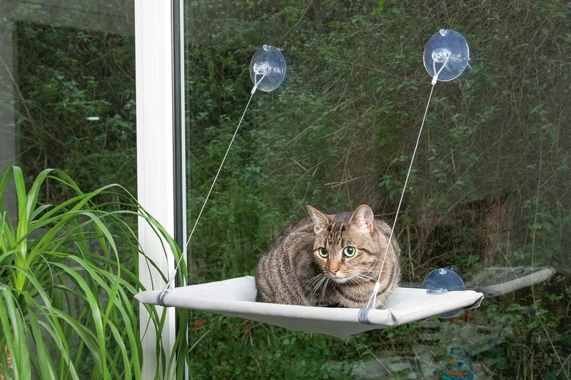 KARLIE Vensterligstoel Voor Katten 51,5x31x2,5cm — foto 5