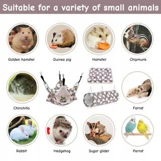 MDPUTY Set 3 Tunnel Ratten Cavia's — miniatuur 7