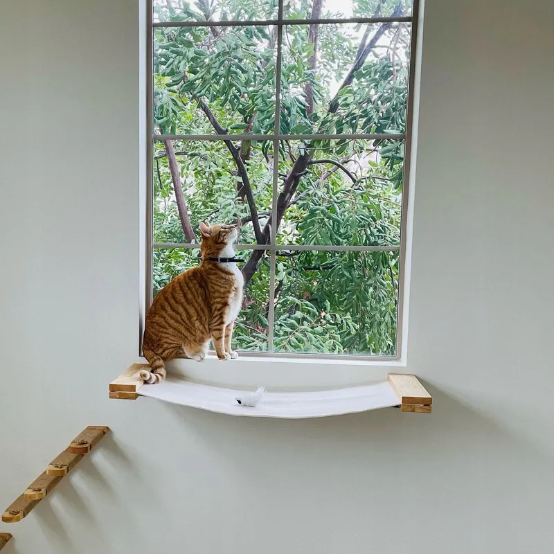 FUKUMARU Kattenhangmat Wand Rubberhout 91x33cm — foto 5