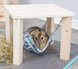 TRIXIE Huisje voor Dieren met Hangmat Sunny Kleurrijk Grijs 28x24x28cm — miniatuur 3