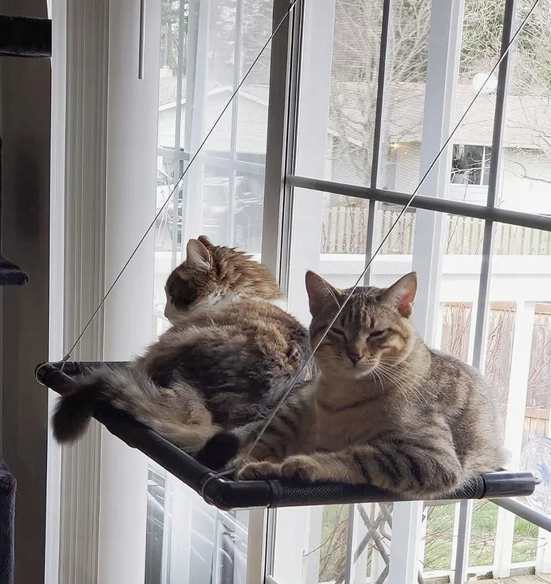 DRACARYS Versterkte Kattenhangmat Raam Grote Katten 20kg — foto 1