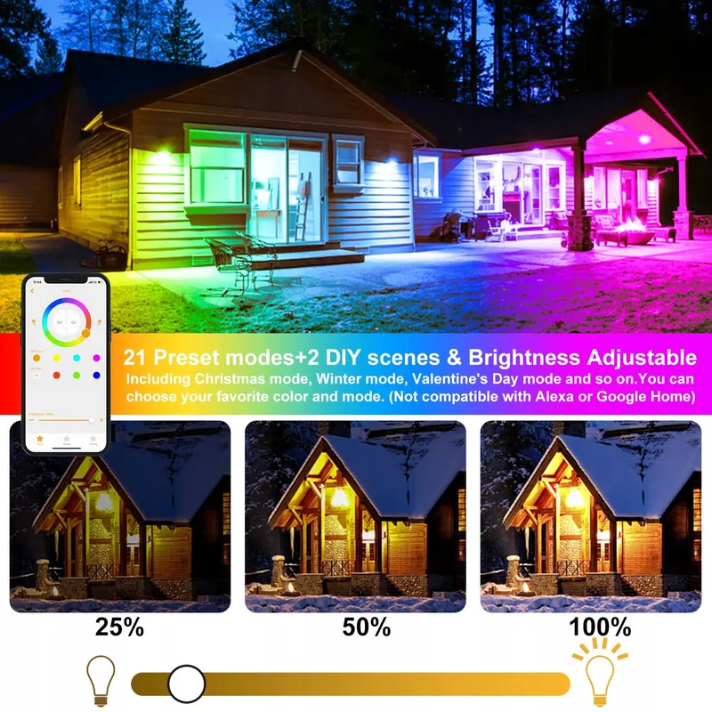 TAPTORON LED Buitenspot RGB 80W Bluetooth IP66 Tuin Huis Party — foto 4