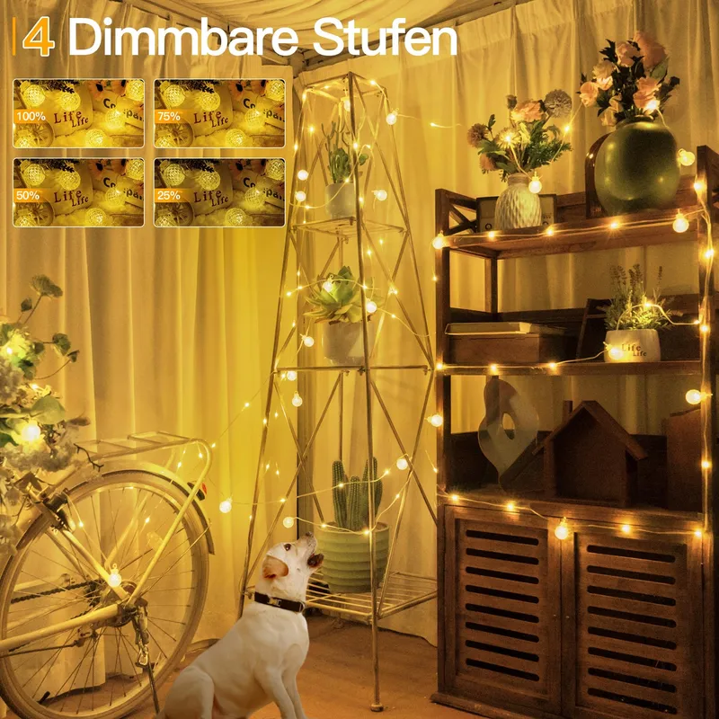 OLLNY LED Lichtsnoer Buiten 10M Afstandsbediening Timer 8 Modi Waterdicht — foto 6