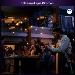 PHILIPS Hue Festavia Buitenlamp LED 14M 20 Bollen RGBW Hue App — miniatuur 3