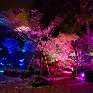 RGB LED Schijnwerper Buiten 80W Bluetooth App IP66 Waterdicht — miniatuur 6