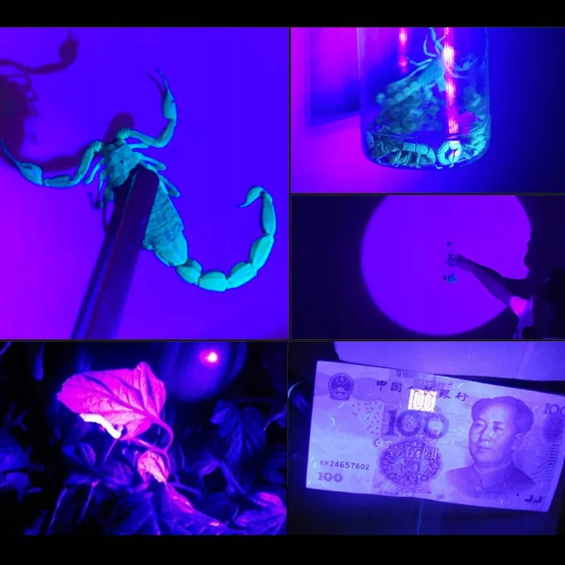 WESLITE UV Hoofdlamp Oplaadbaar Nachtvissen Schorpioenen — foto 6