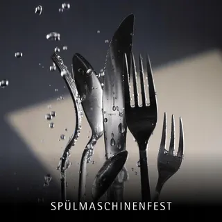 WMF Bestekset 12 Personen 66-delig RVS — miniatuur 8