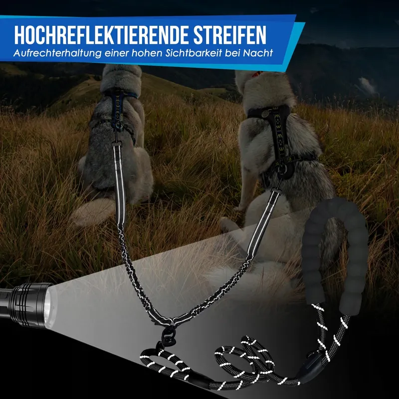 SLOWTON Dubbele Hondenriem 360° Reflecterend Drie Handgrepen — foto 6
