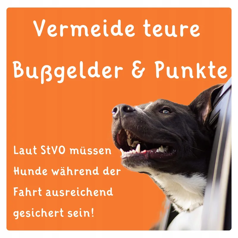 FLOXIK Veiligheidsgordel Hond Verstelbaar Elastisch V2 Zwart — foto 6
