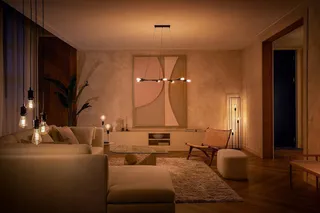 PHILIPS Hue White Filament E27 G125 550lm Warm Wit Dimbaar Alexa — miniatuur 3