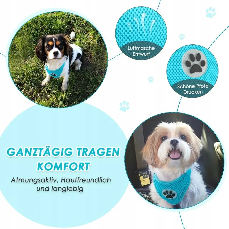 SLOWTON Hondentuig Met Veiligheidsgordel Voor Auto XS Blauw — foto 2