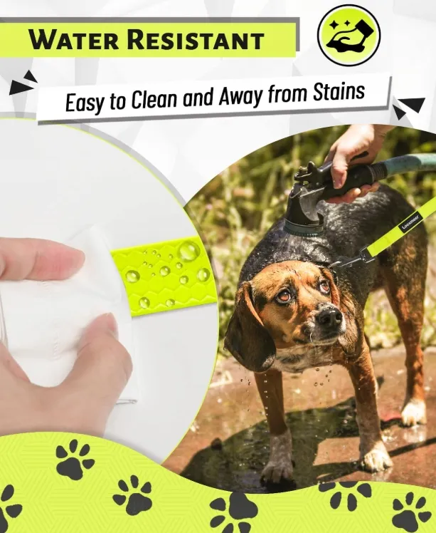 LOOXMEER Trainingslijn Hond 5m 7m 10m 15m 20m 25m 30m Neon Geel — foto 11