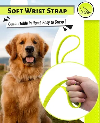 LOOXMEER Trainingslijn Hond 5m 7m 10m 15m 20m 25m 30m Neon Geel — miniatuur 10
