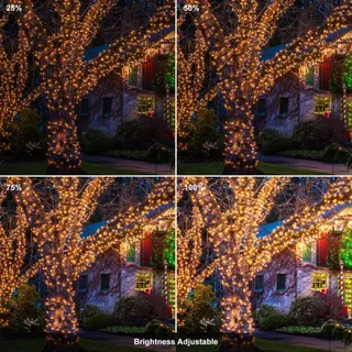 CORST 100m Kerstverlichting Buiten Waterdicht met Afstandsbediening — miniatuur 2