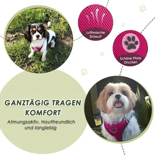 SLOWTON Hondenharnas Met Veiligheidsgordel Voor Auto Roze XS — miniatuur 2