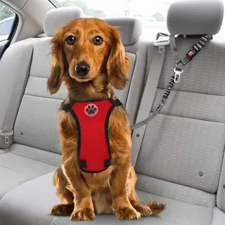 SLOWTON Autogordel Hond 2-in-1 Verstelbaar Reflecterend Grijs — miniatuur 3